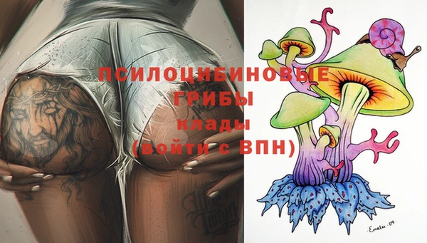 крисы Пересвет