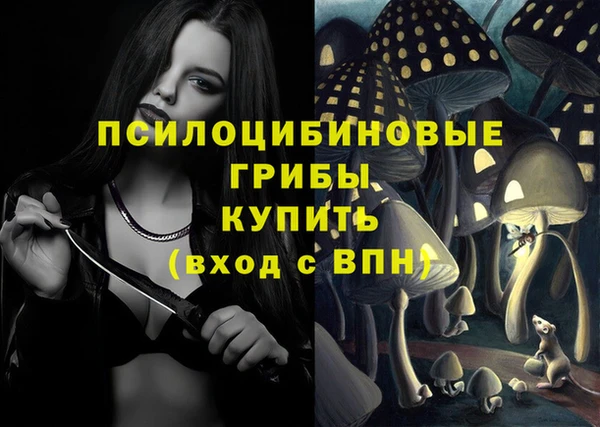 mdpv Болхов