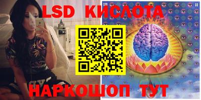 шишки Берёзовский