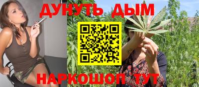 индика Бийск