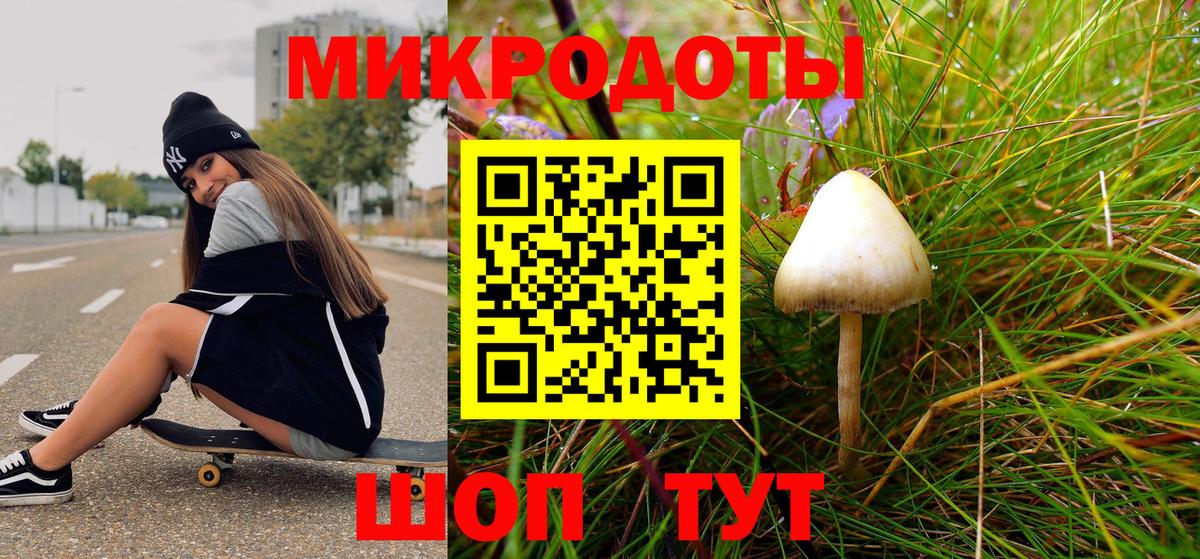 закладки  Псилоцибиновые грибы Magic Shrooms  Вход с VPN  Бугуруслан  Псилоцибиновые грибы Psilocybe 